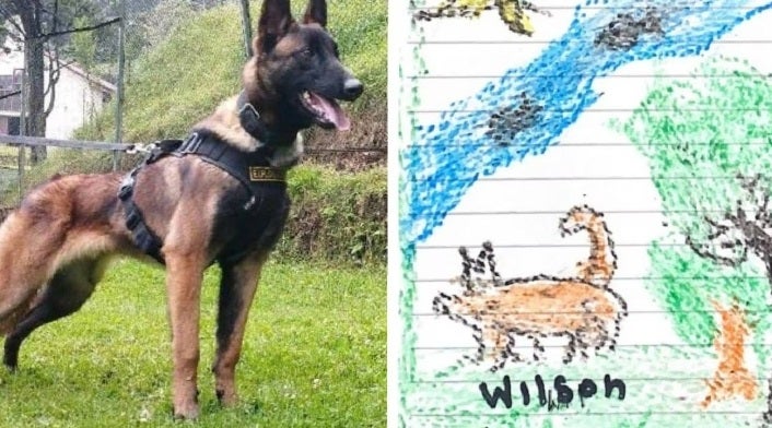 Wilson el Perro