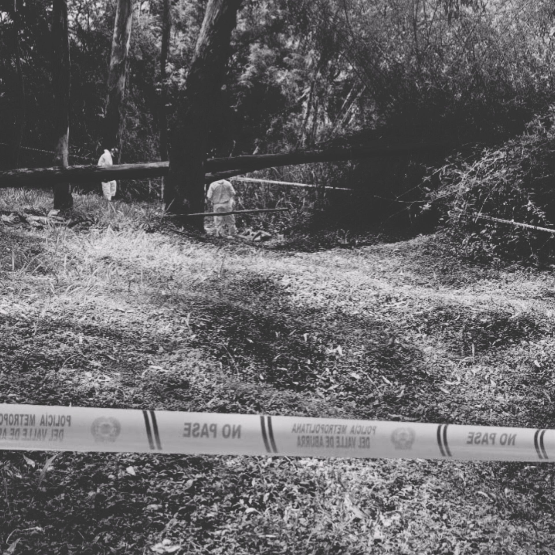 Con un palo habrían asesinado a un hombre que fue arrastrado y abandonado en un cerro de Medellín