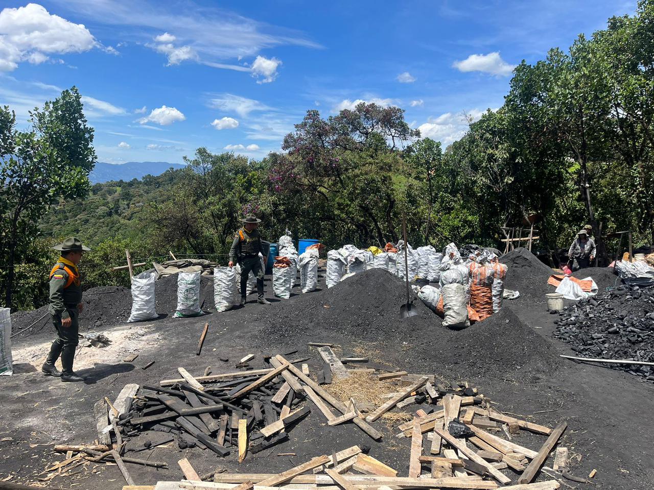 Capturadas siete personas en una vereda de Bello, por el delito de aprovechamiento ilícito de recursos naturales renovables