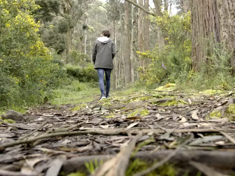 Mujer murió luego de caer por barranco de sendero ecológico en Envigado