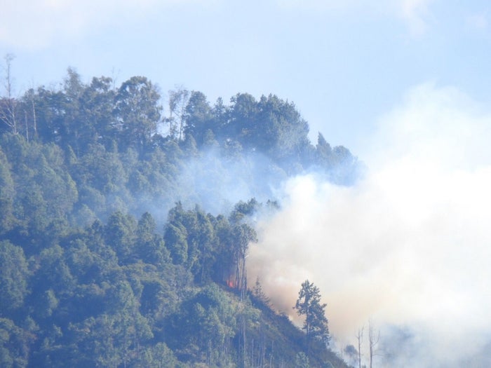 Incendio forestal en el oriente de Medellín