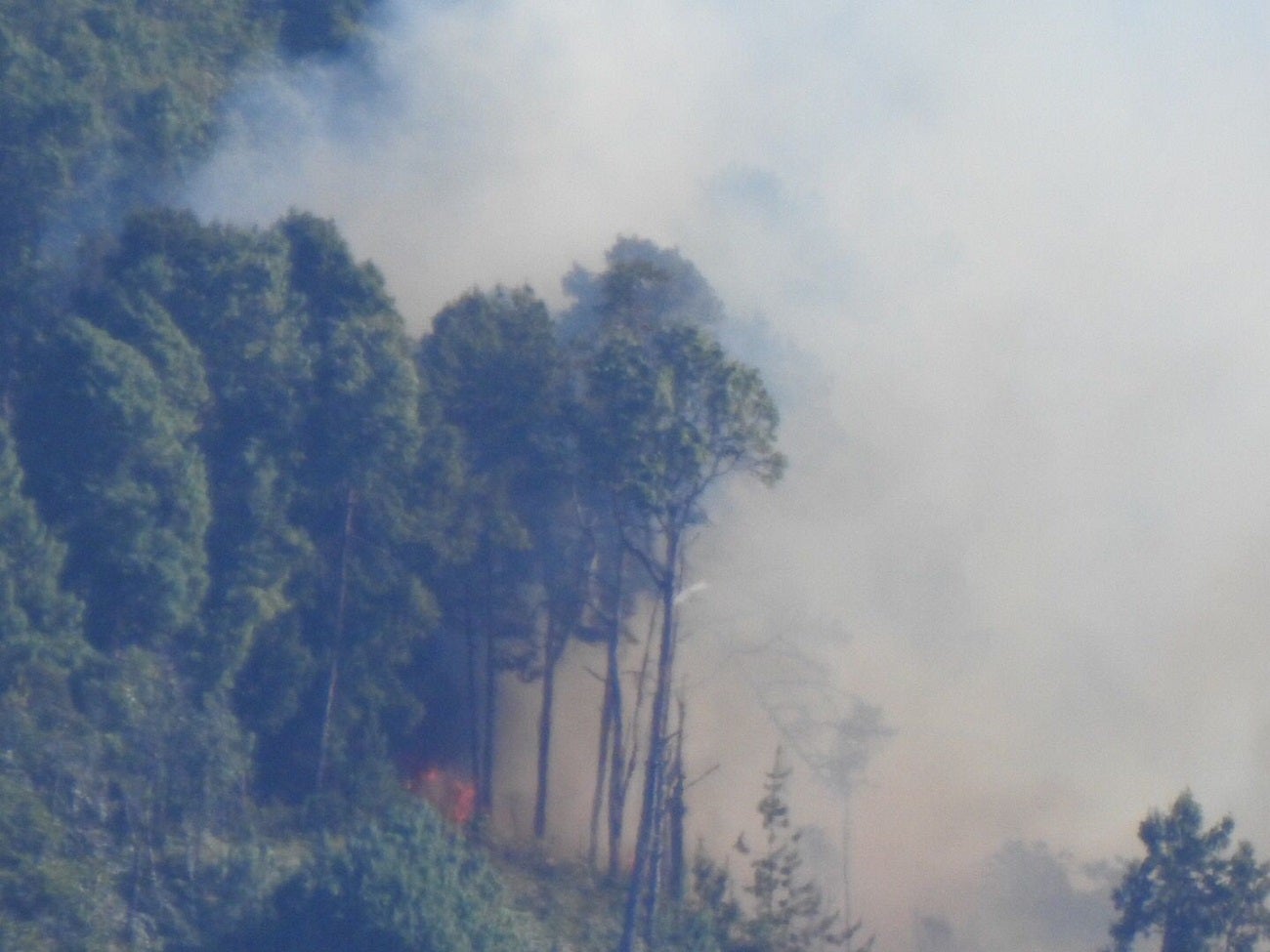 Incendio forestal en el oriente de Medellín