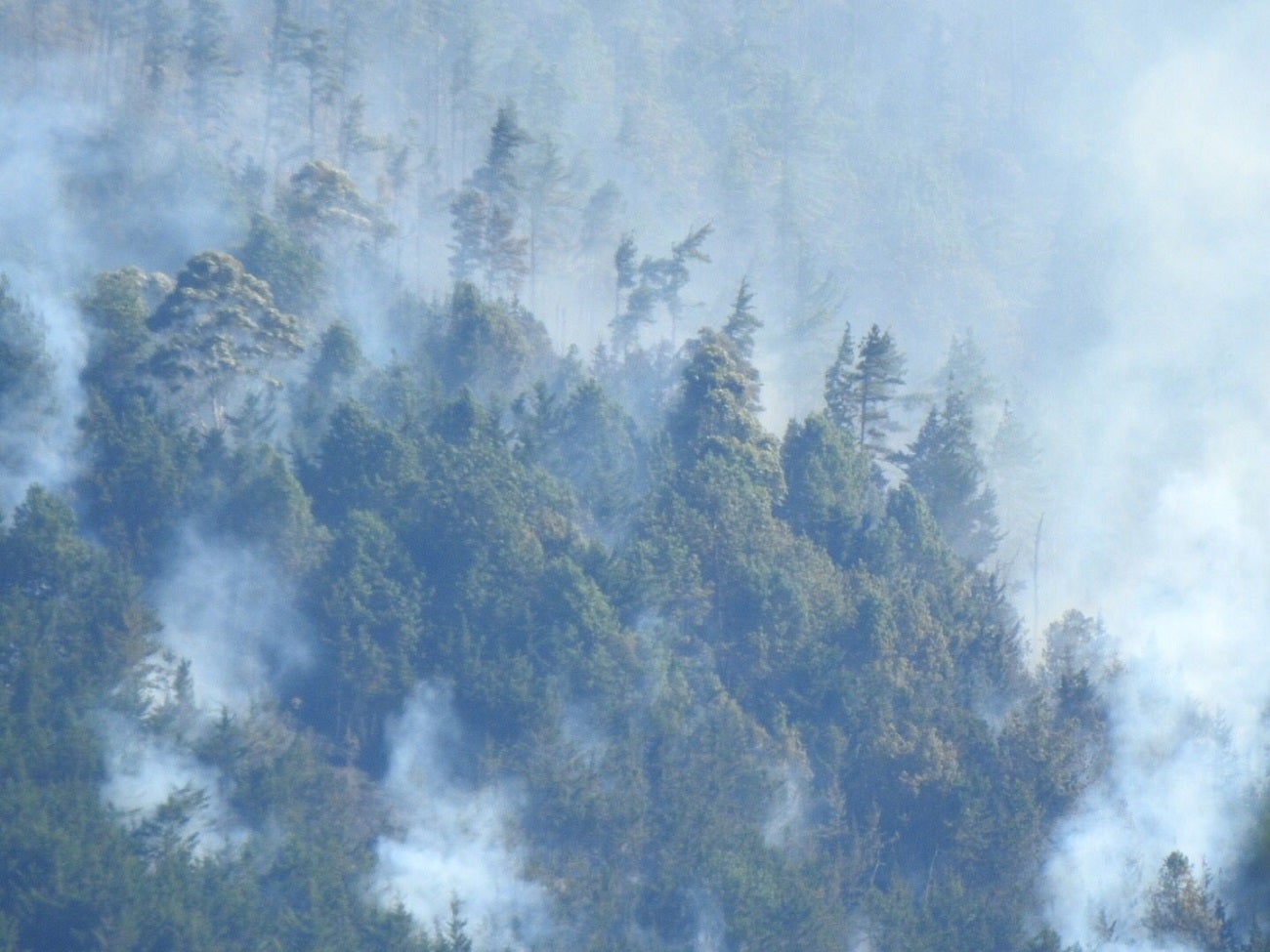 Incendio forestal en el oriente de Medellín