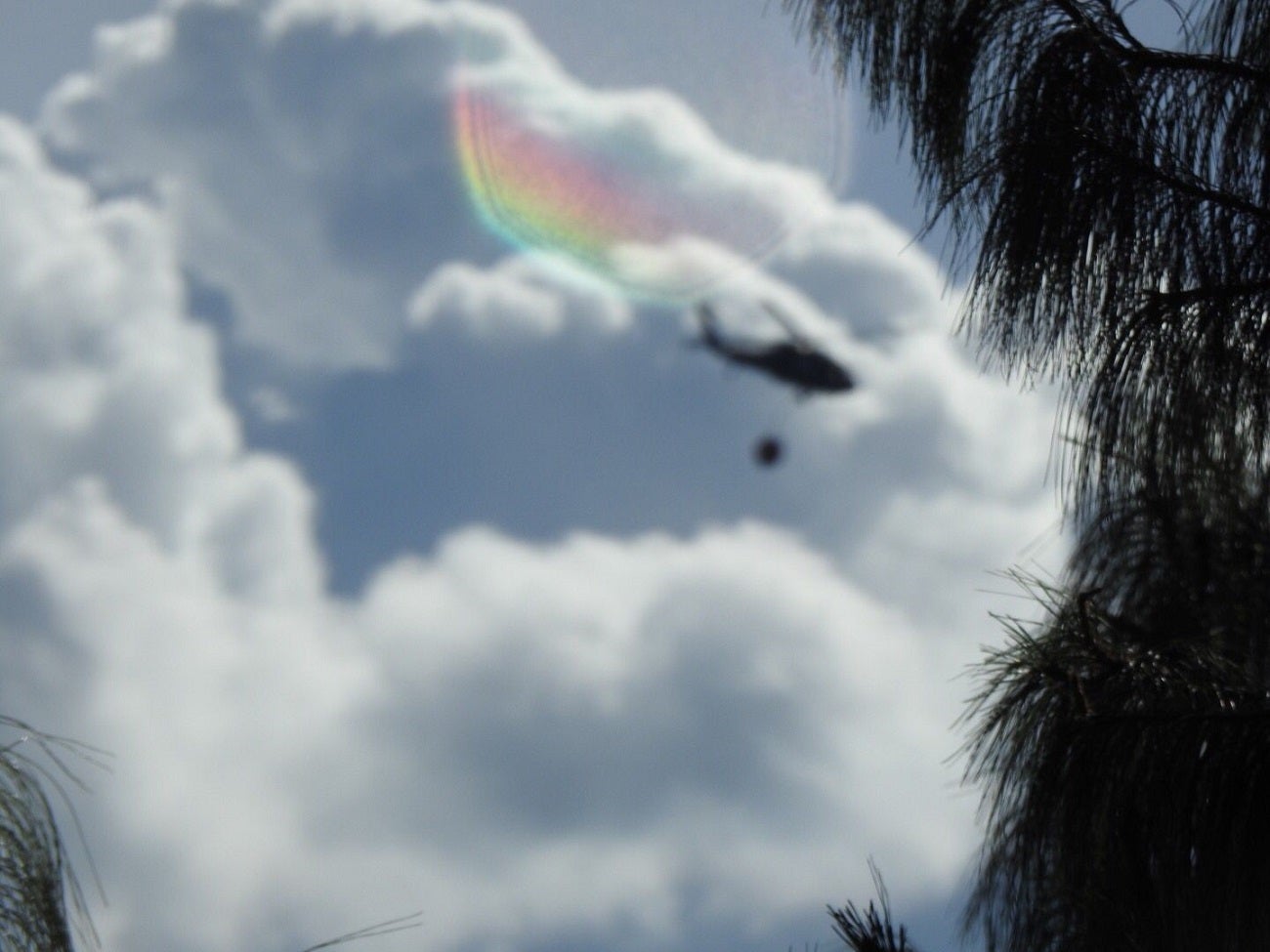 Incendio forestal en el oriente de Medellín