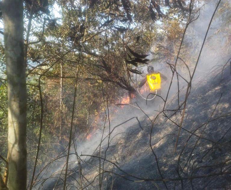 Incendios en Barbosa
