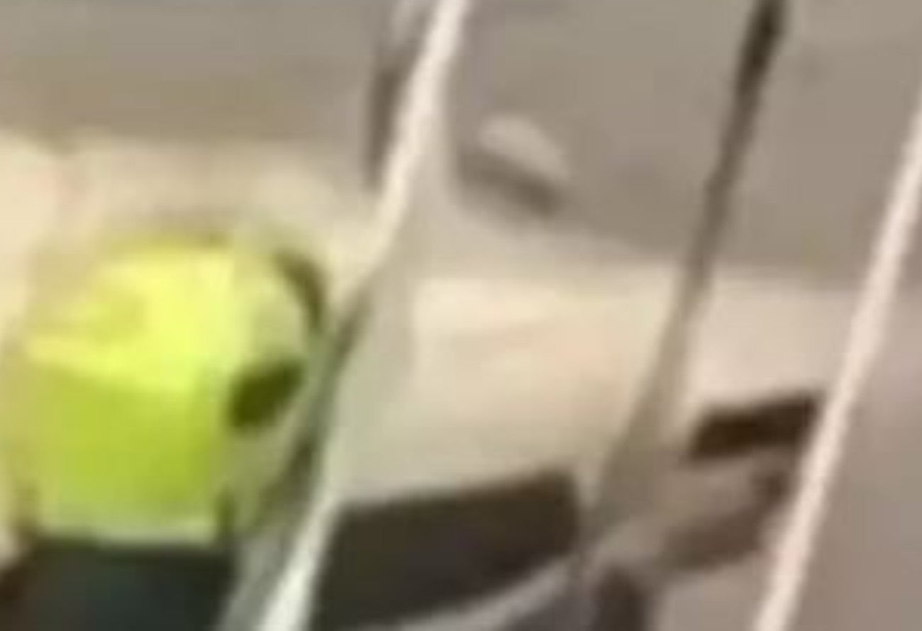 Un Policía le disparó a un perro, luego de morder a su compañero en un procedimiento en Caldas