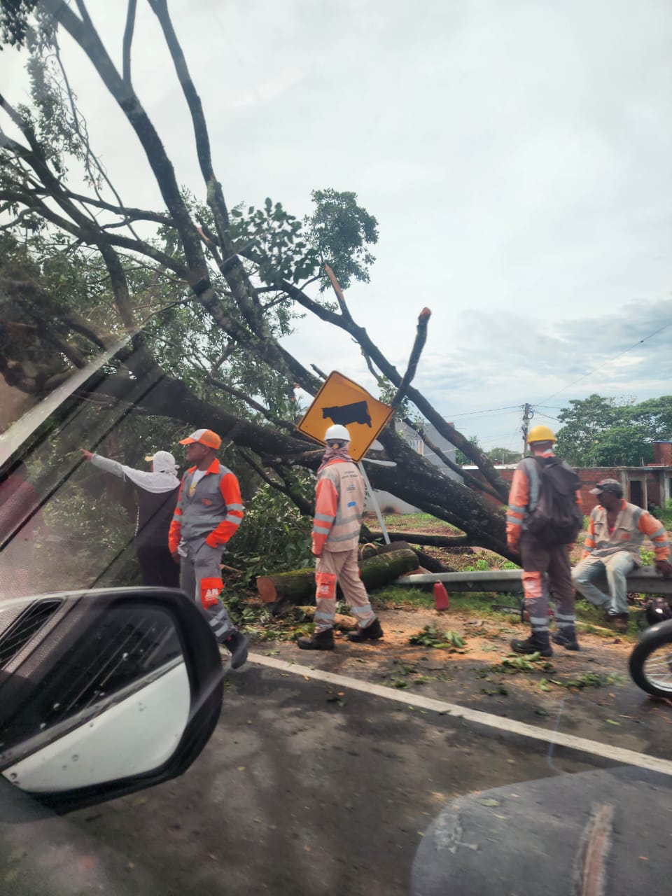 Fuerte vendaval afectó a más de 480 familias en Caucasia, Antioquia