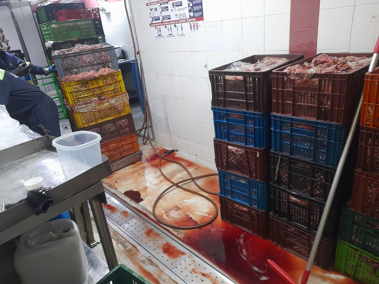 [FOTOS] Incautaron en Campo Valdés 1,5 toneladas de carne descompuesta lista para ser comercializada