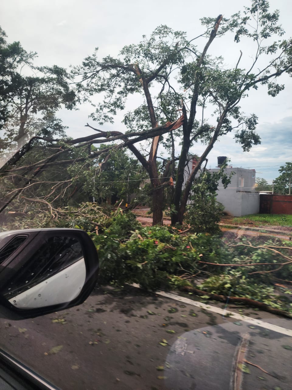Fuerte vendaval afectó a más de 480 familias en Caucasia, Antioquia