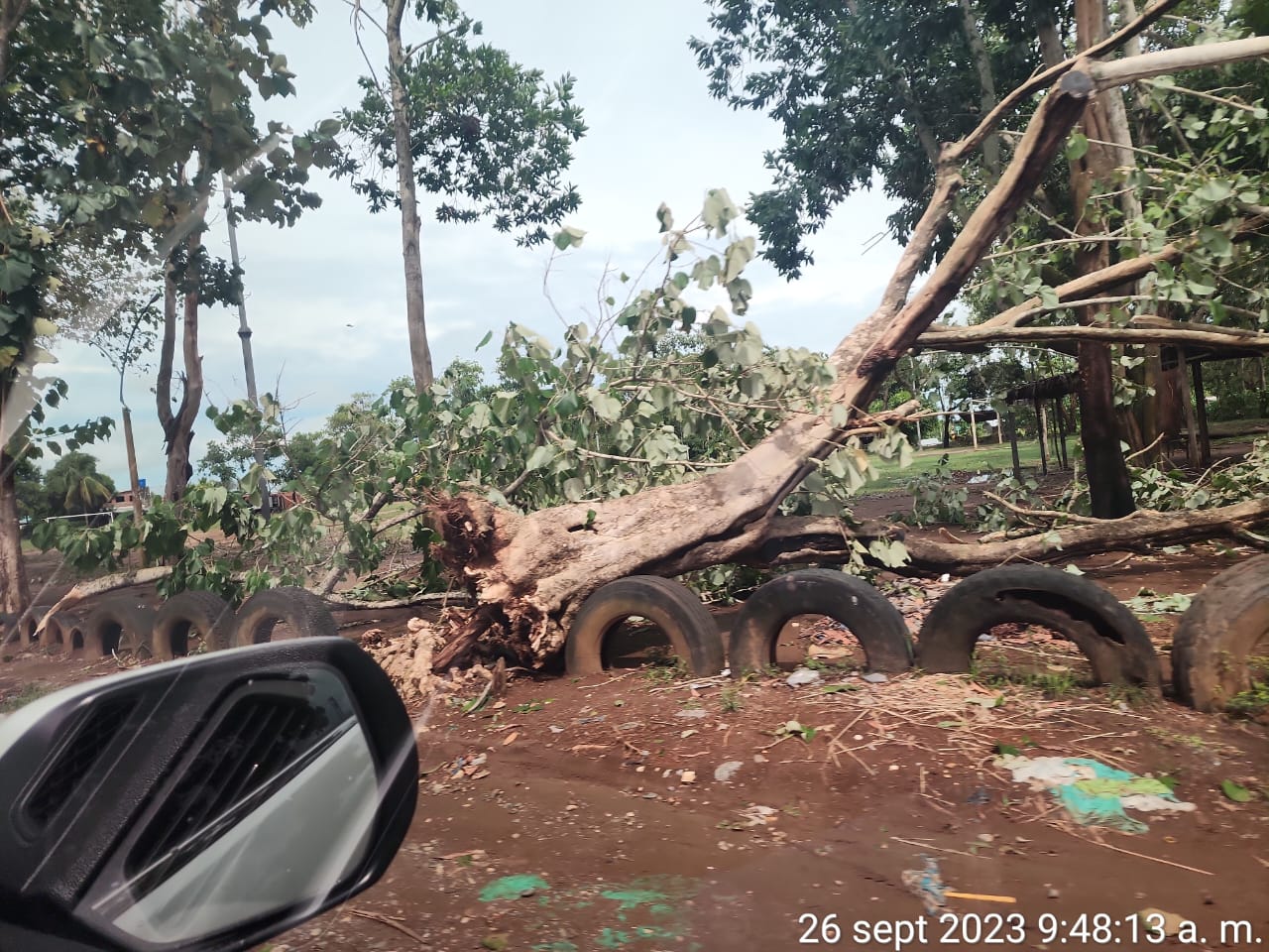 Fuerte vendaval afectó a más de 480 familias en Caucasia, Antioquia
