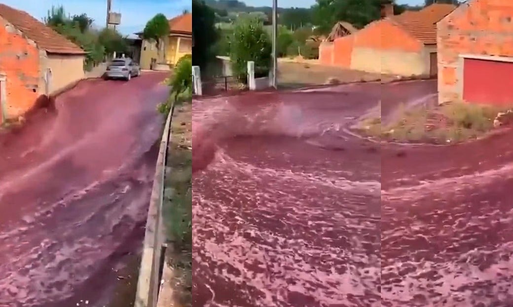 Río de vino inundó las calles de ciudad en Portugal tras explosión de tanques