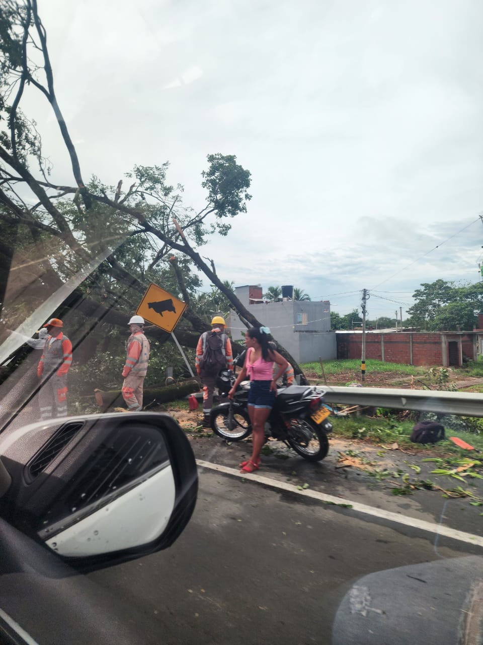 Fuerte vendaval afectó a más de 480 familias en Caucasia, Antioquia