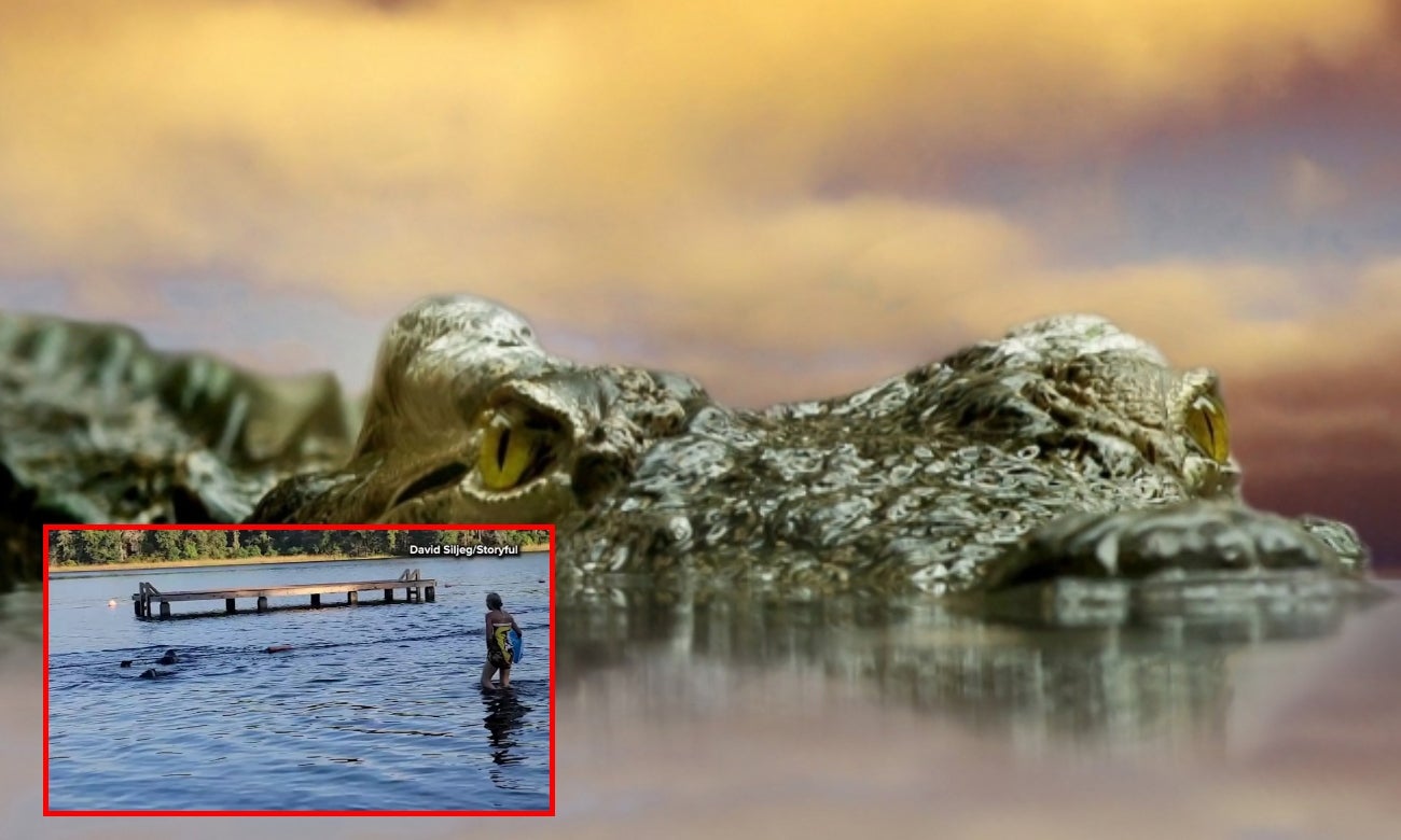 Cocodrilo por poco ataca a niñas que jugaban en un lago: se salvaron por segundos