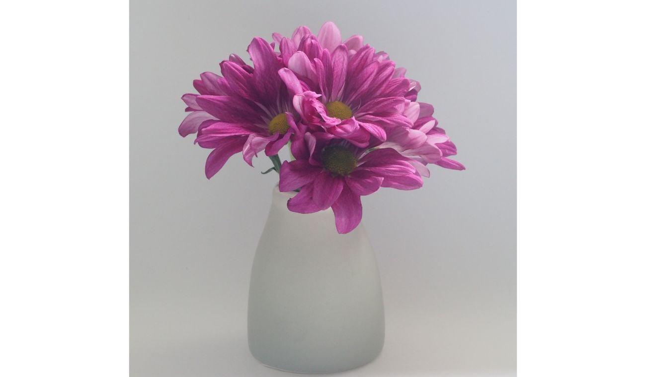 Tips para atraer la buena energía a la casa