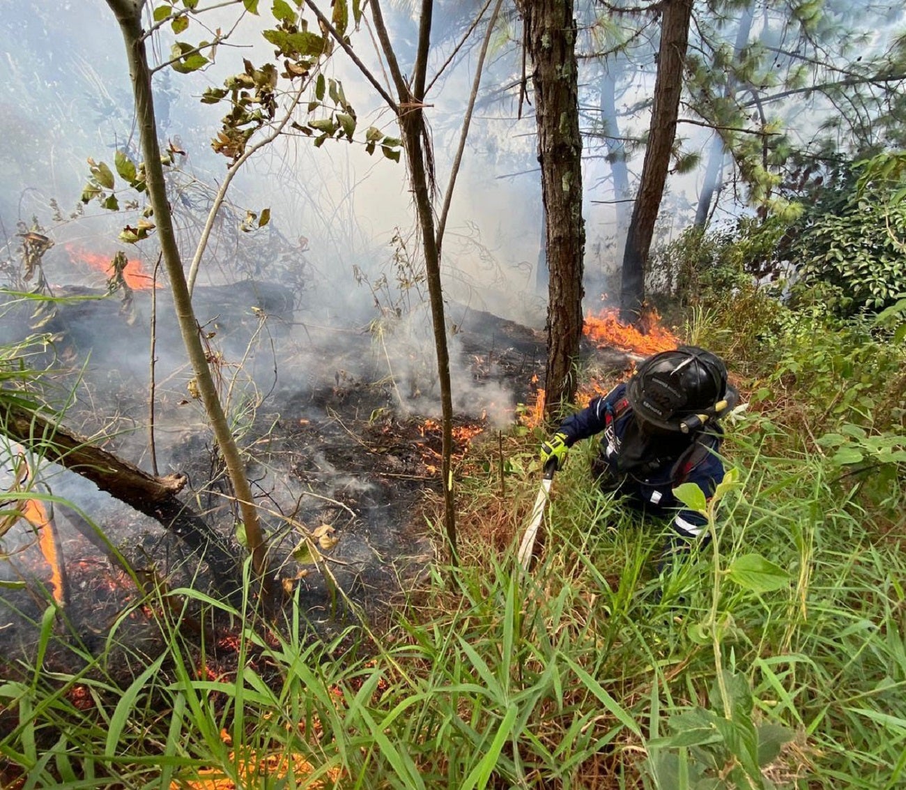 Incendio de cobertura vegetal en Medellín