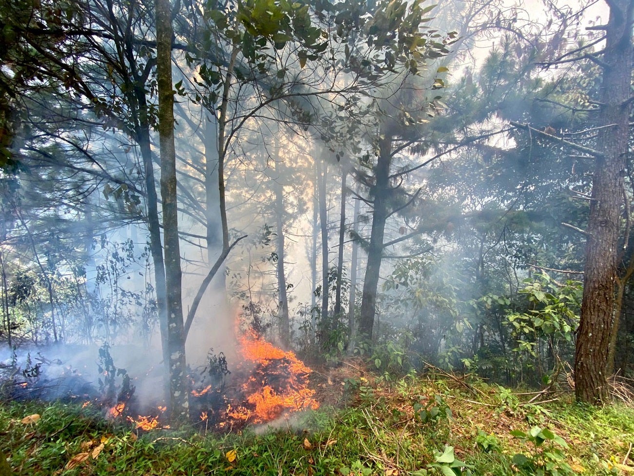 Incendio forestal en Medellín