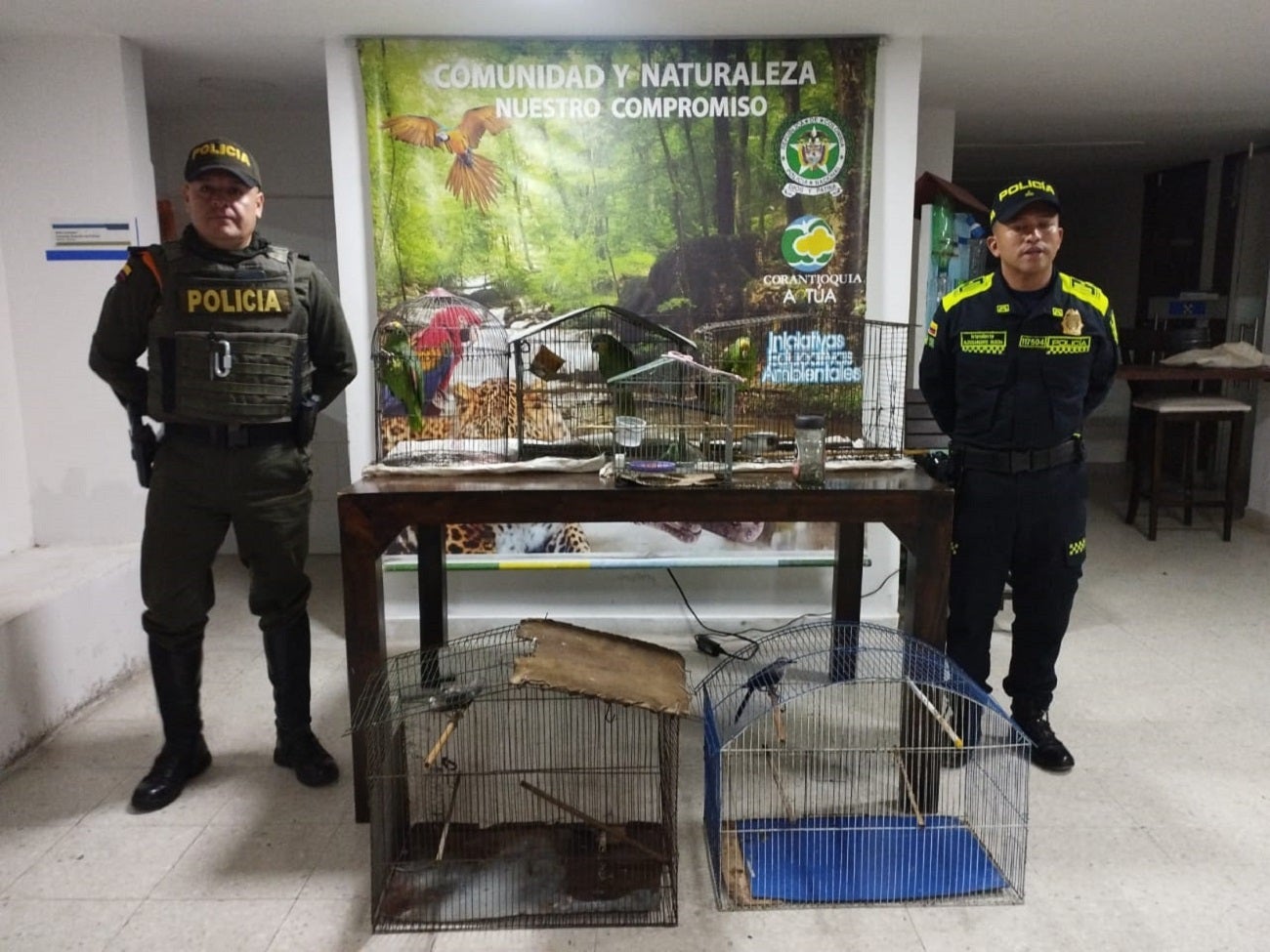 Rescate fauna silvestre en Antioquia