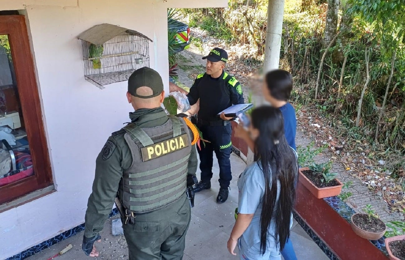 Rescate fauna silvestre en Antioquia