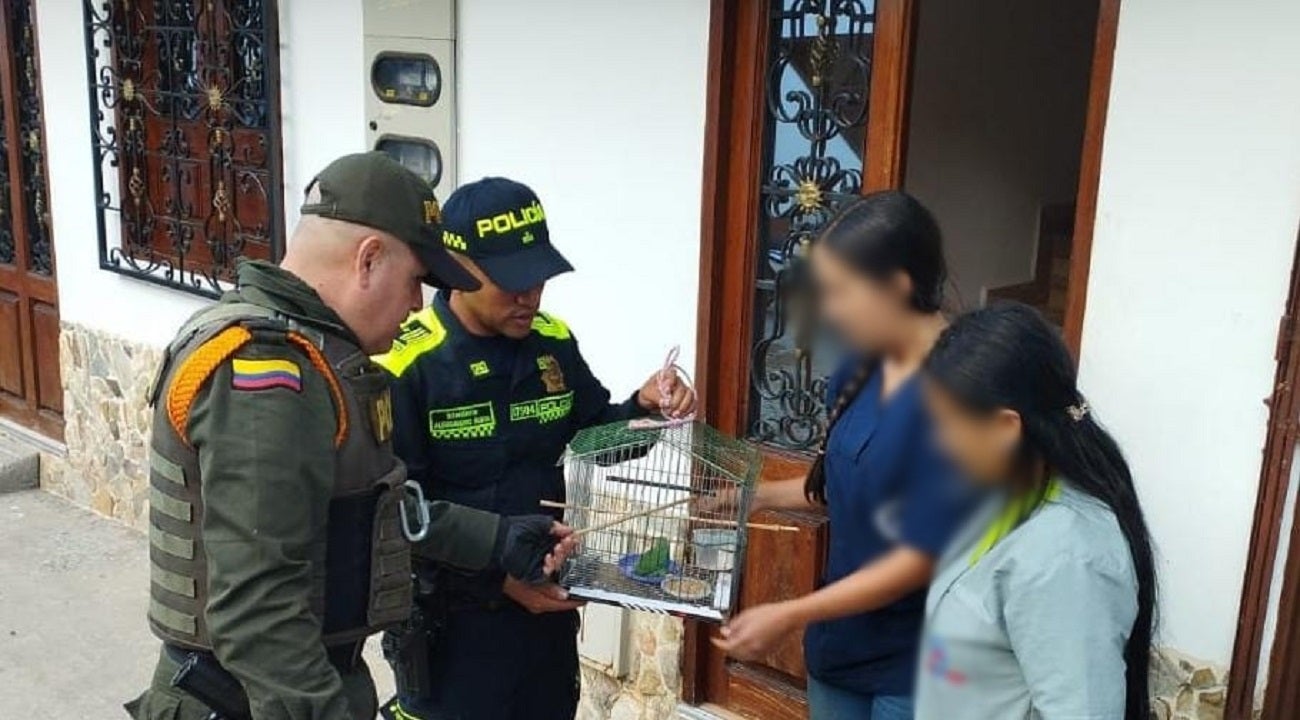 Rescate fauna silvestre en Antioquia