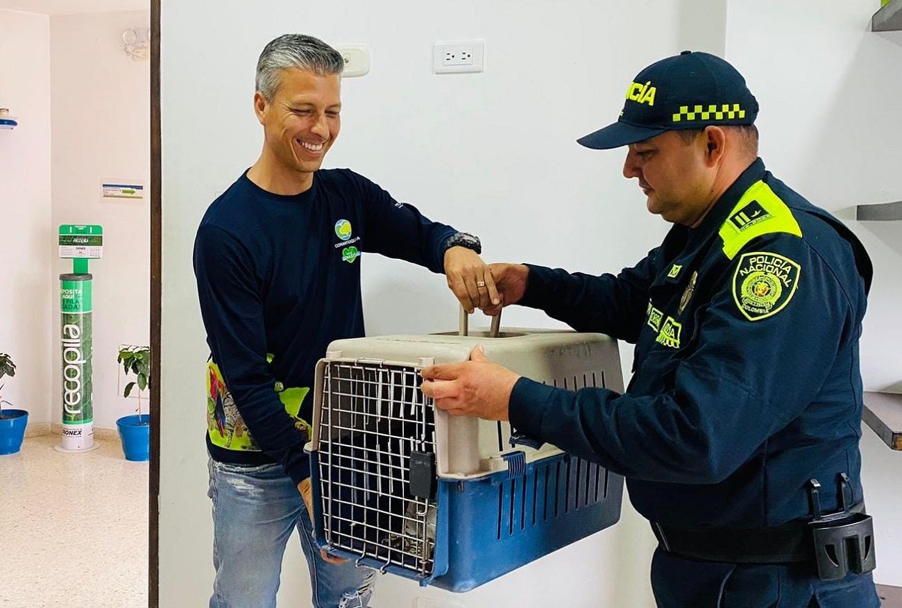 Rescate fauna silvestre en Antioquia