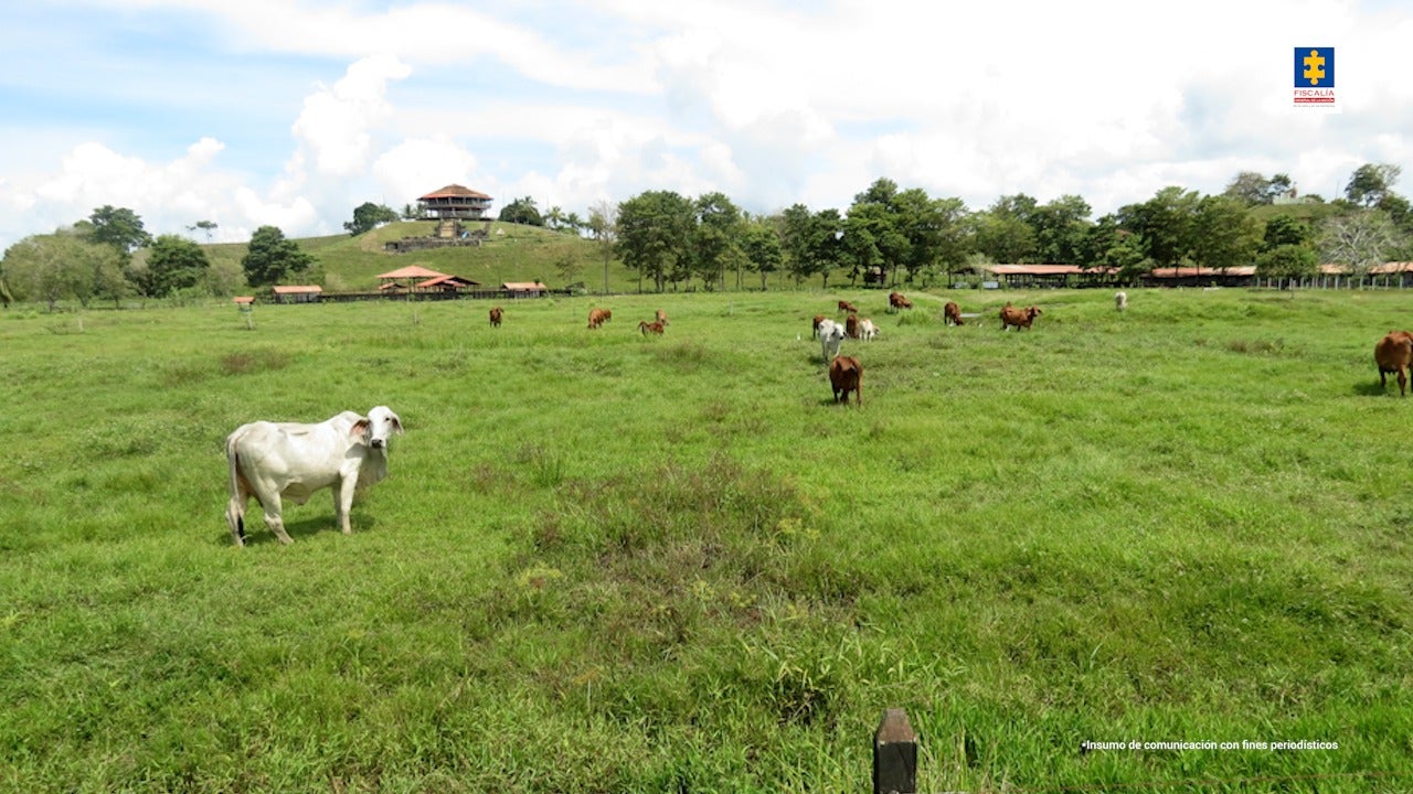 [FOTOS] Medidas cautelares sobre lujosos vienes en el Urabá avaluados en 120 mil millones: Obtenidos con dineros del narcotráfico