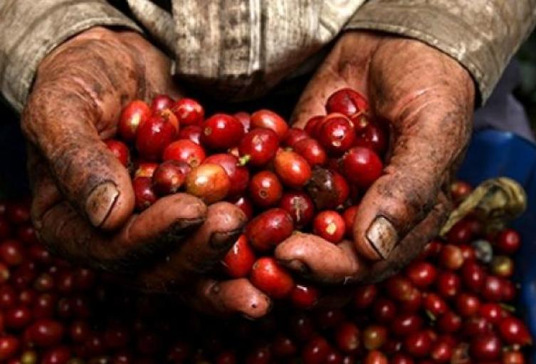 Exportaciones en Antioquia afectadas por la guerra de Israel - Palestina