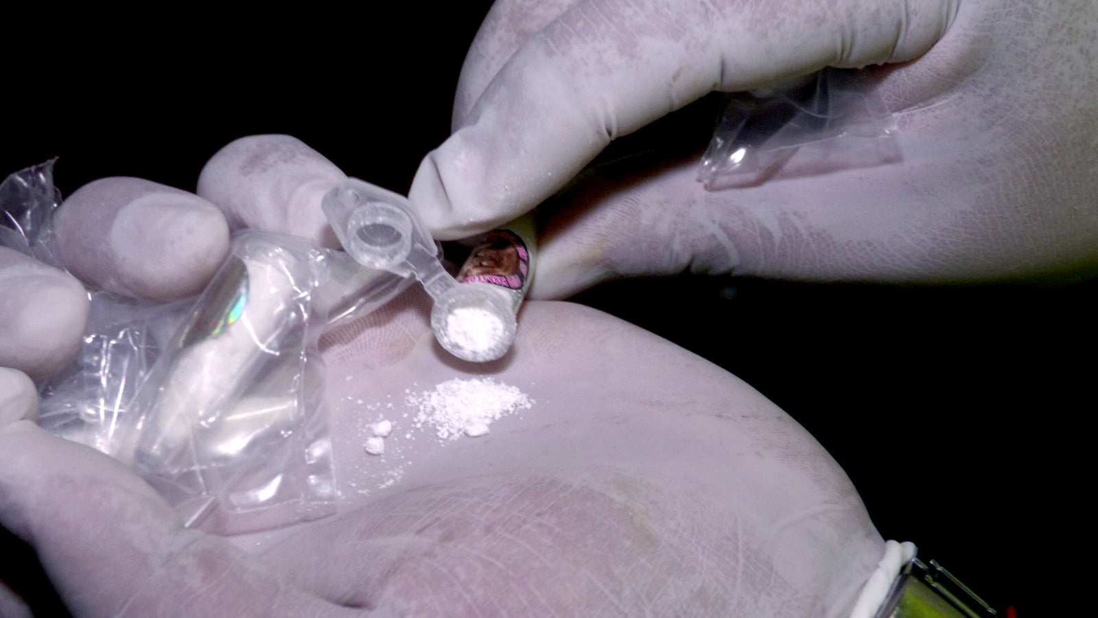 [FOTOS] Cayó alias “Piter” y sus “secuaces 