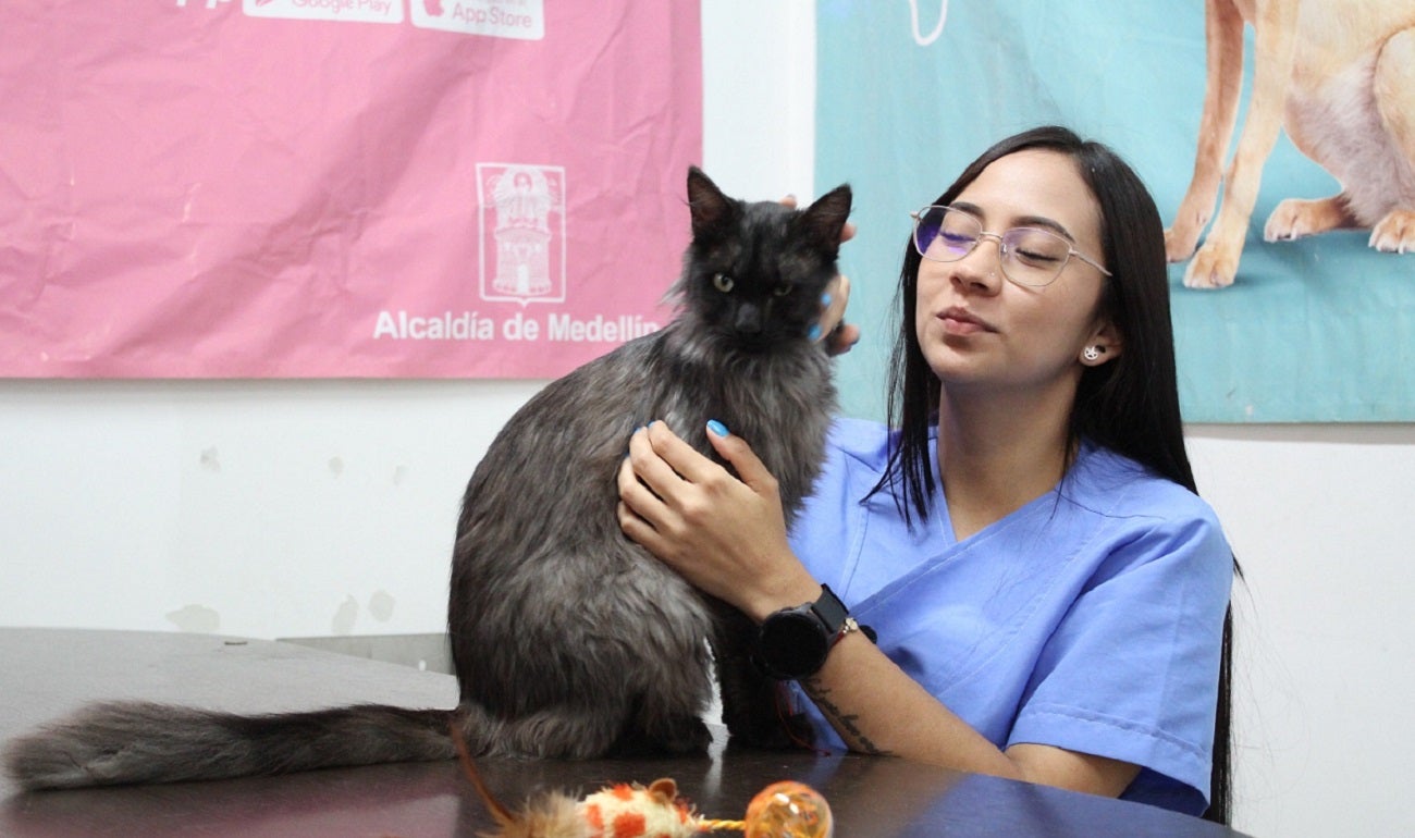 ‘Pelusa’, el gato que fue adoptado por una familia en Medellín