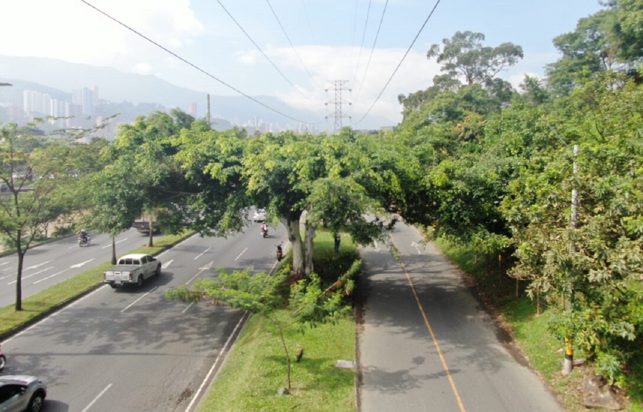 EPM debe talar árbol en la autopista Sur en Medellín