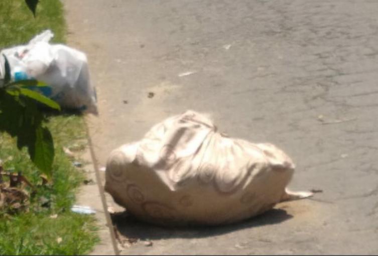 Cadáver metido en costales