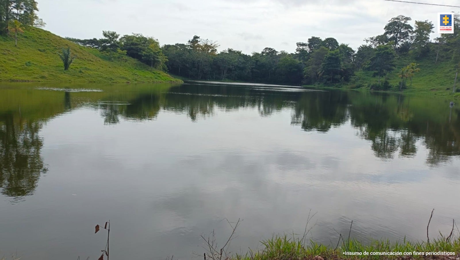 Macaco” y alias “Pelusa” en Antioquia. Avaluados en más de $160 mil millones