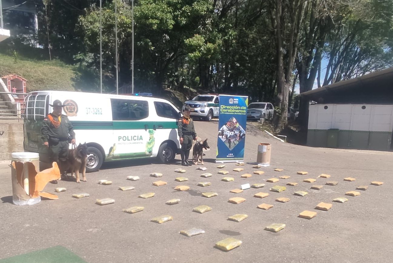 Caninos policías detectaron 50 kilos de marihuana que entró a Medellín a través de encomiendas