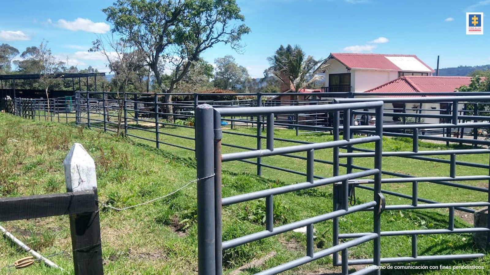 [FOTOS] Afectan multimillonario patrimonio ilegal del Clan del Golfo en Antioquia