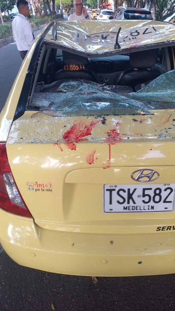 Increíble: Ciudadano ecuatoriano cayó de un árbol y se salvó de morir en Medellín