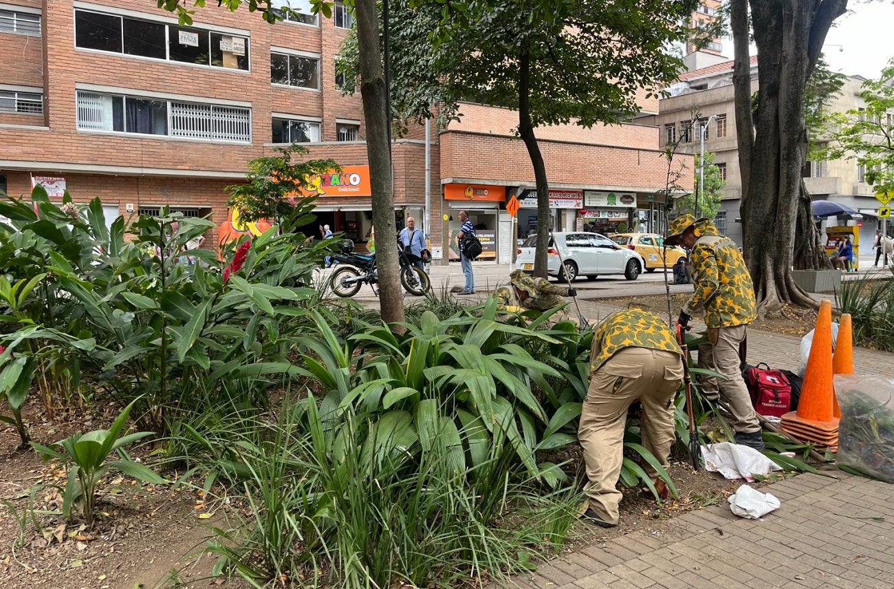 Mantenimiento de jardines en Medellín