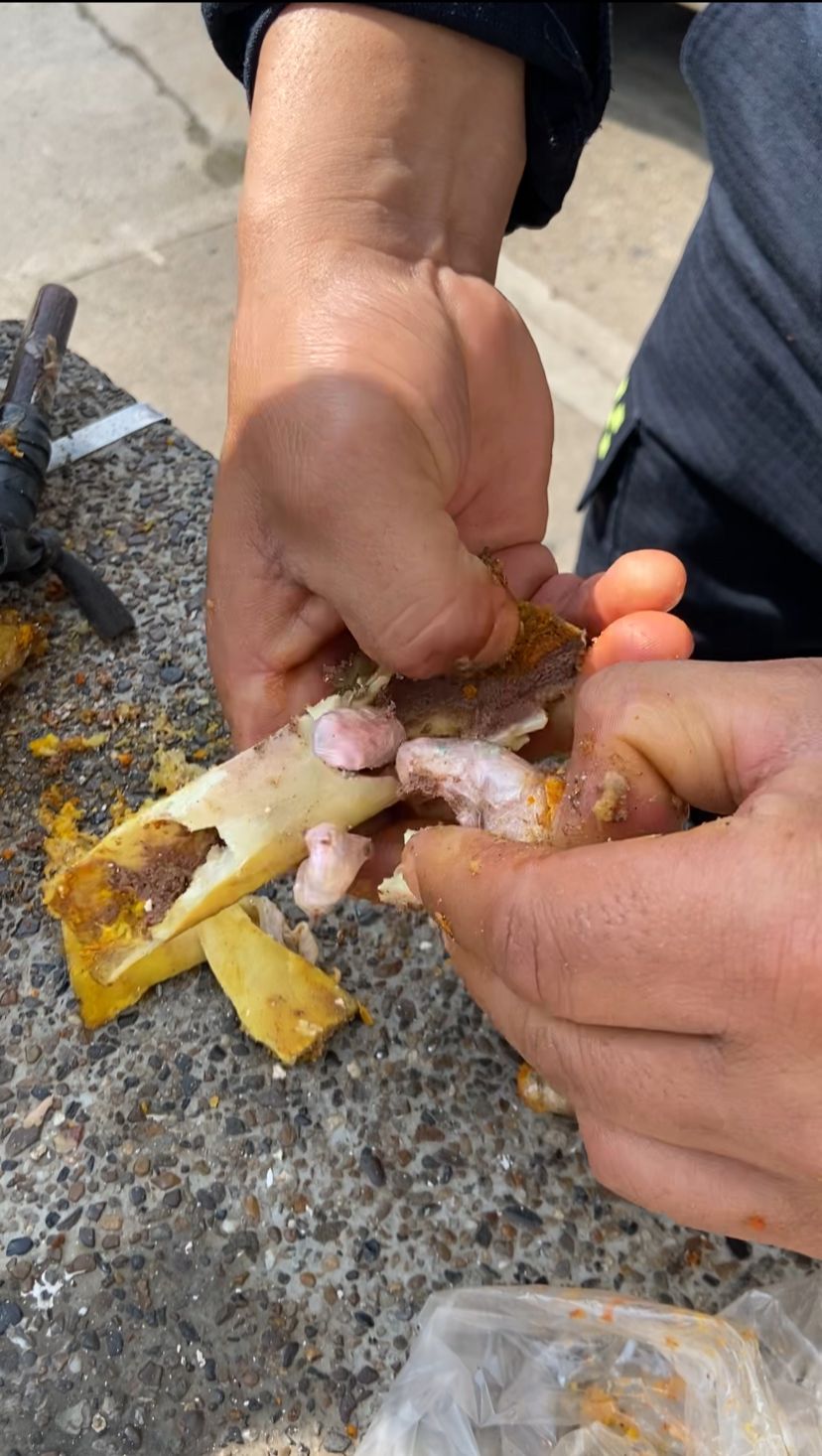 En huesos de pollo asado metían cocaína para los reclusos de la cárcel de Rionegro, Antioquia