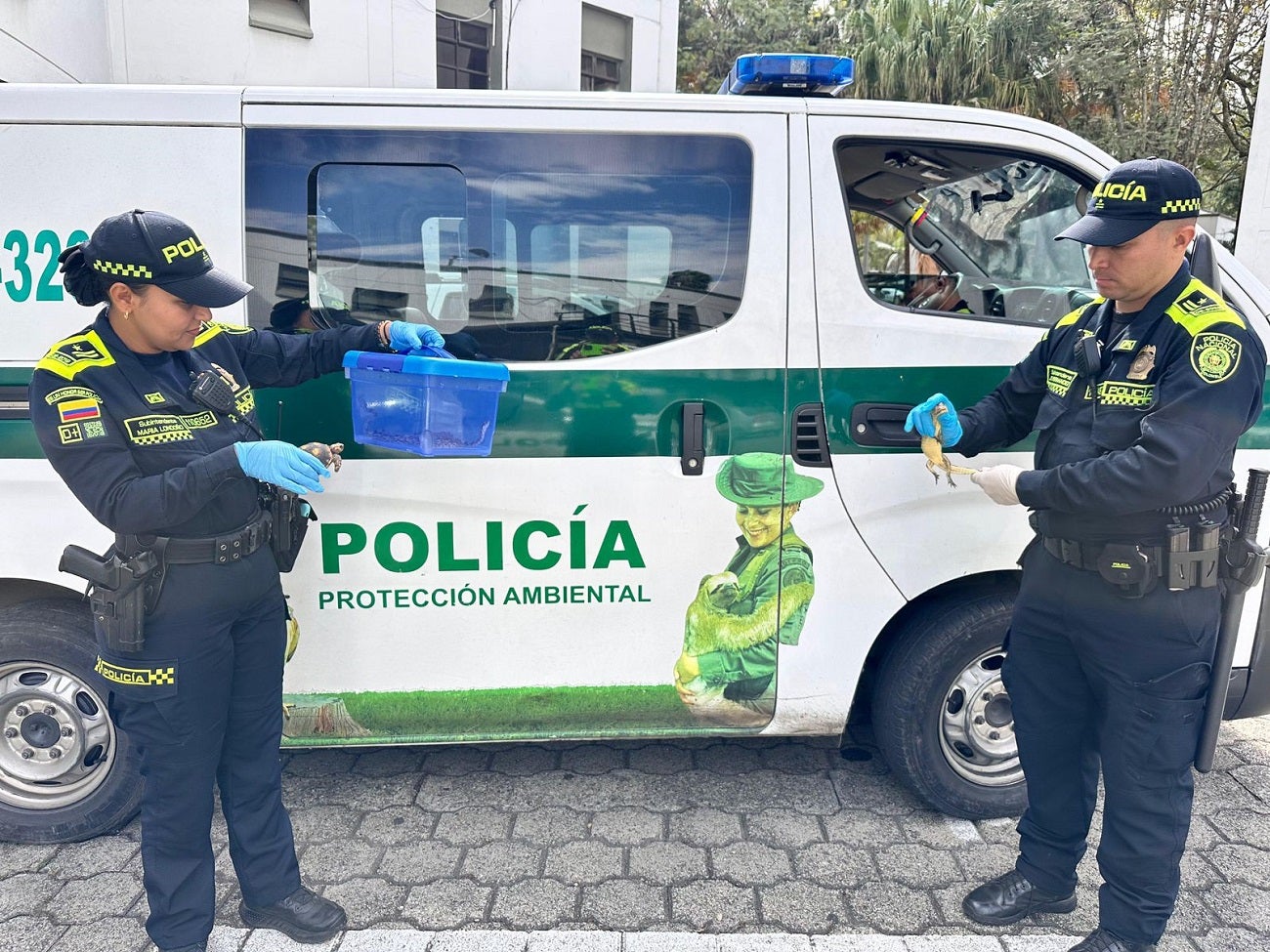 Fauna silvestre incautada en Bello, Antioquia