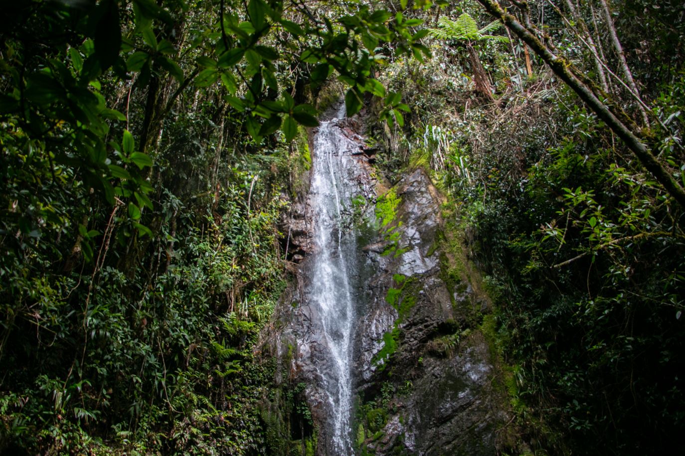 Fenómeno de El Niño: Recomendaciones para proteger los cerros tutelares en Medellín