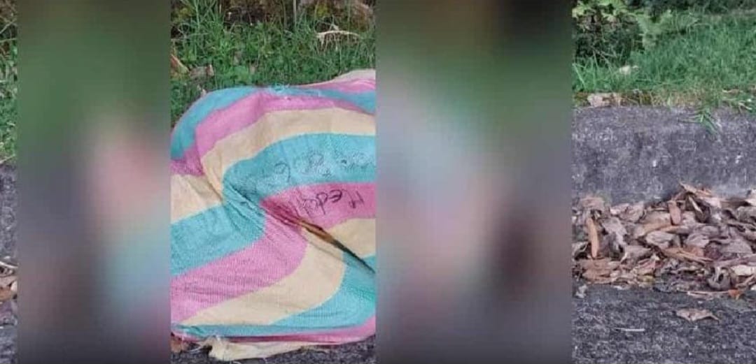 Hallan cadáver envuelto en un costal y cubierto con cartones en Laureles