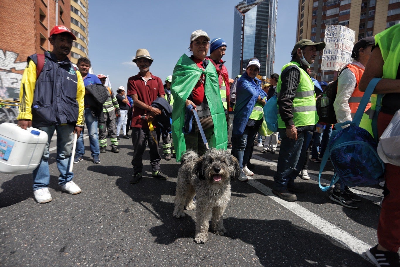 Día Mundial del Reciclador / Recicladores