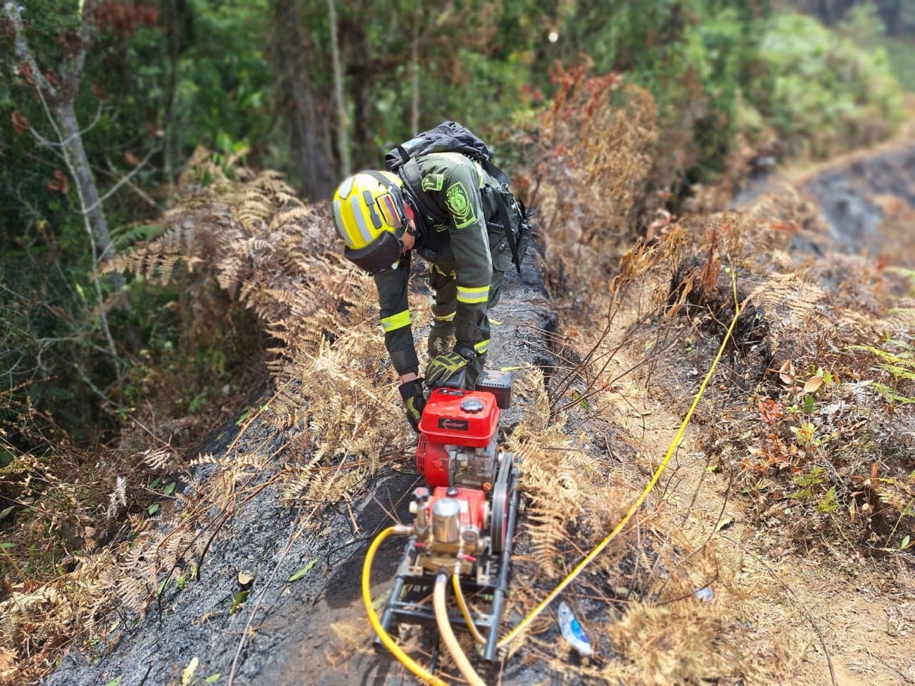 Incendio en Anzá, Antioquia