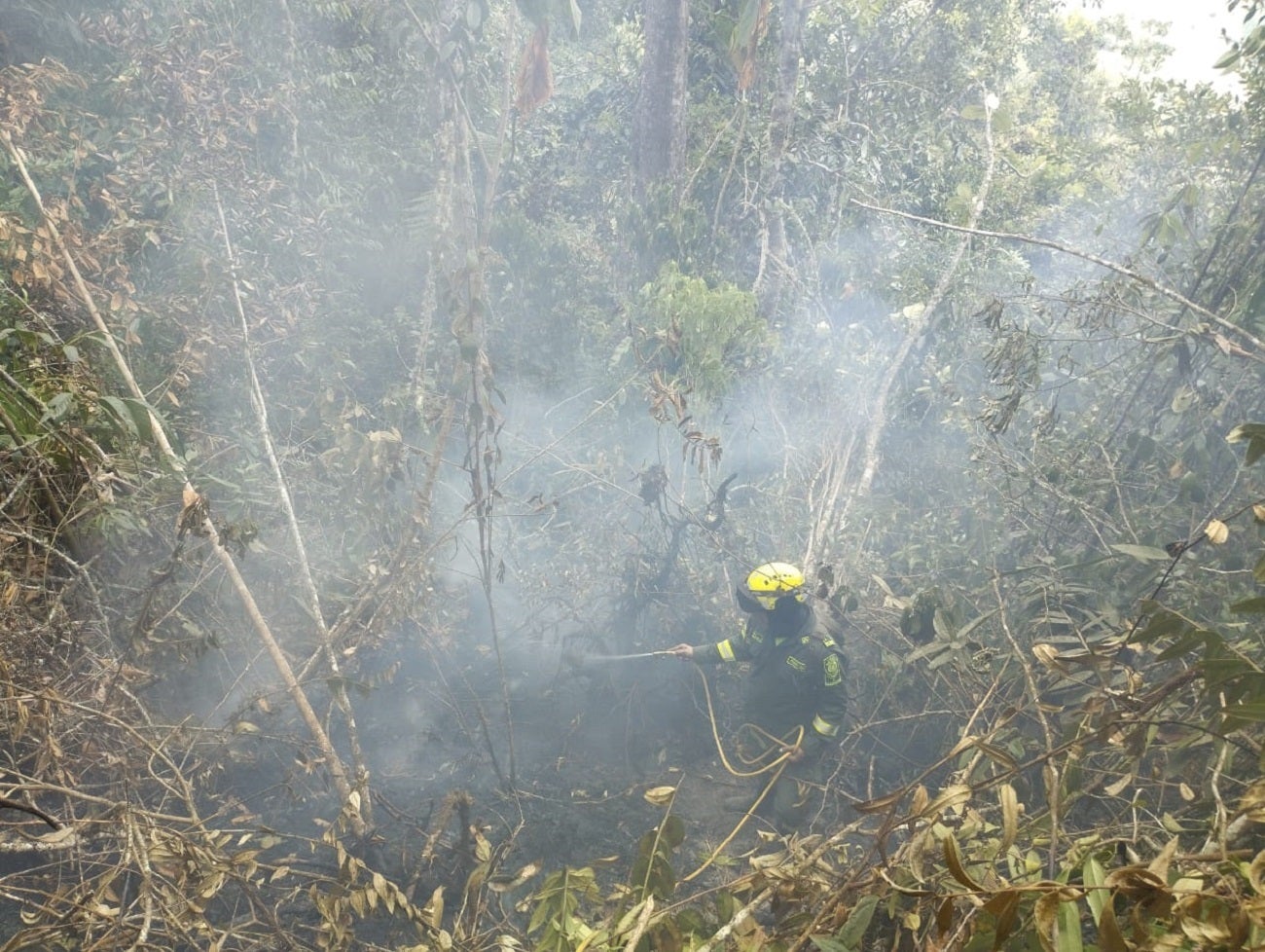 Incendio en Anzá, Antioquia