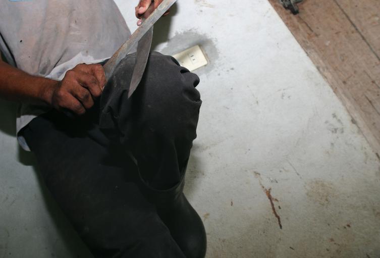 Capturaron a responsable de asesinar a machetazos a un menor de edad en Santo Domingo Savio