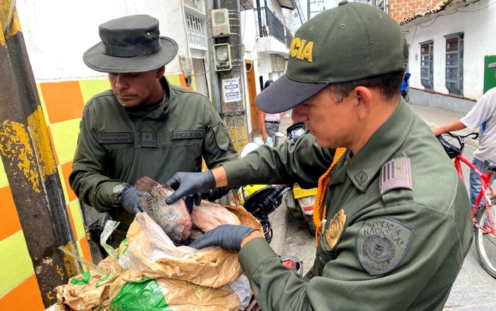 Incautación de pescado en Marinilla, Antioquia