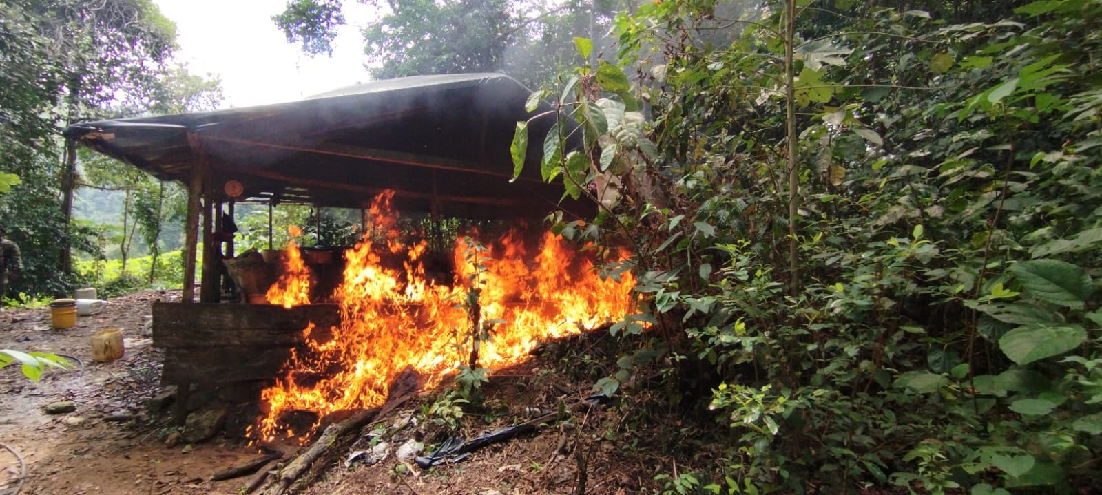 Ejército destruyó 7 laboratorios de coca pertenecientes al Clan del Golfo en Antioquia