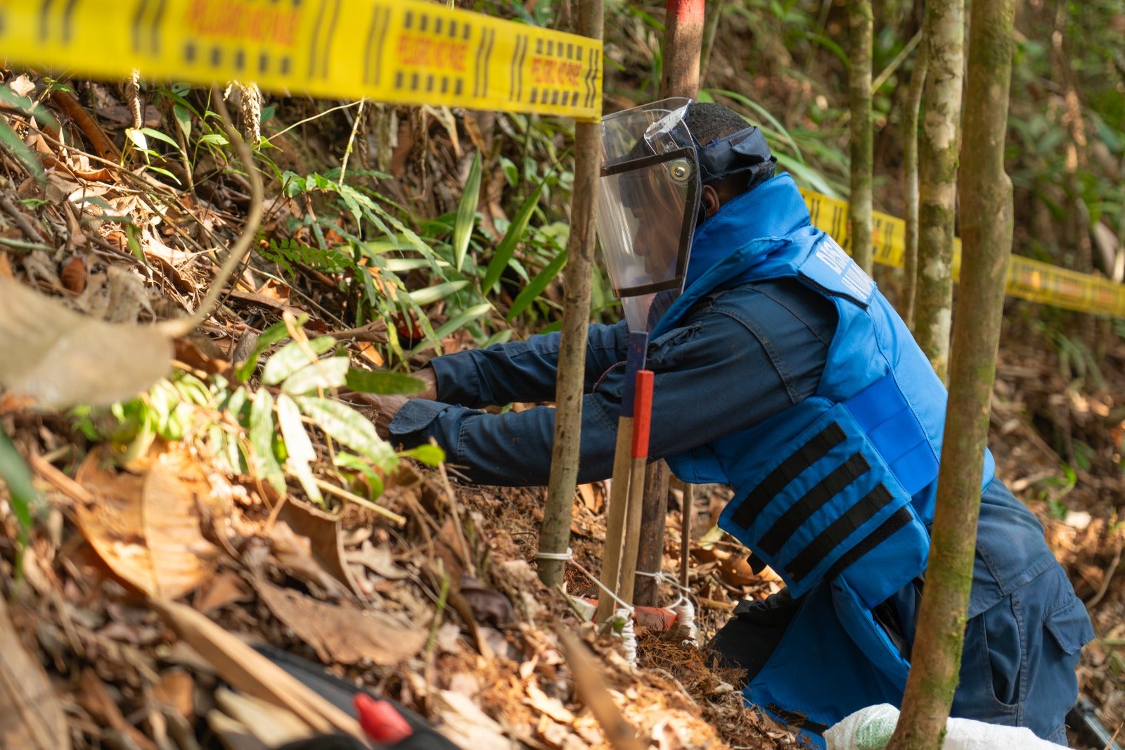 Ejército despeja más de 376 mil metros cuadrados de área contaminada por minas antipersonal en Concepción