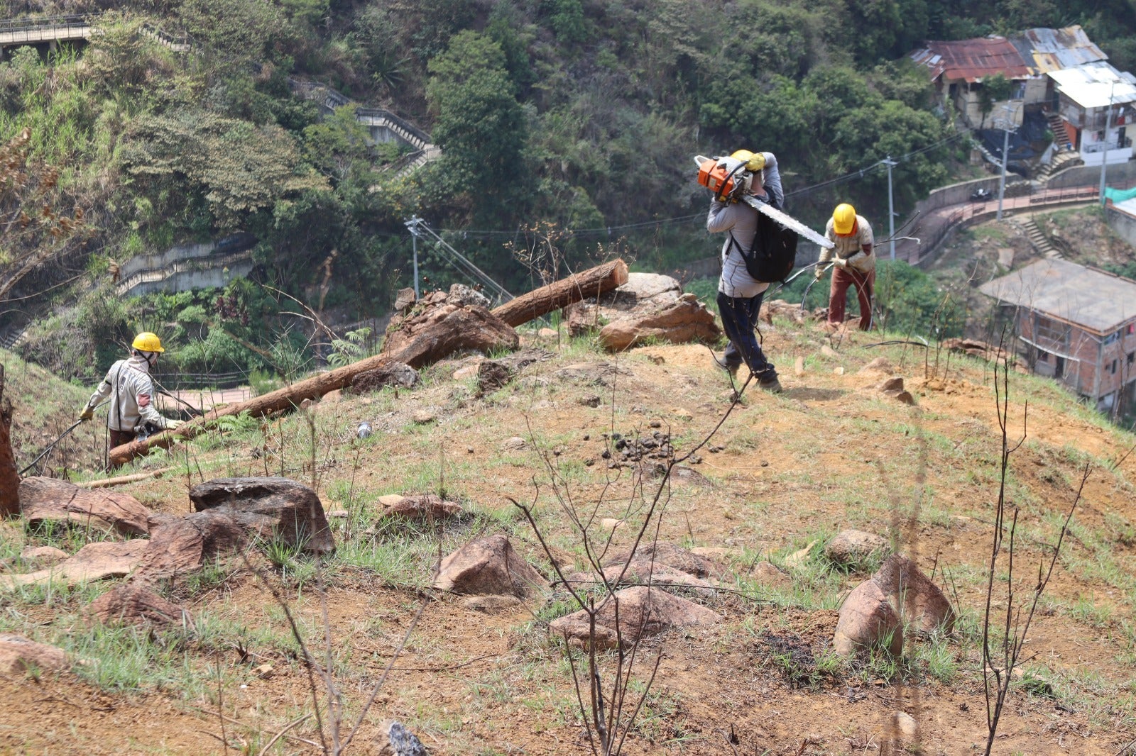 [Fotos] Grupos criminales de Medellín pusieron postes de energía para lotear el cerro Pan de Azúcar