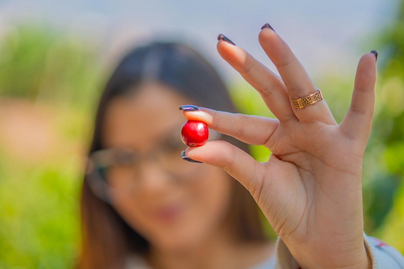 Coffee Fest en Sabaneta