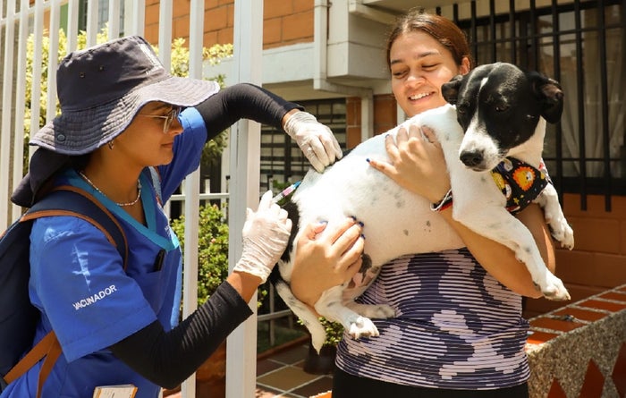 Vacunación de mascotas en Medellín