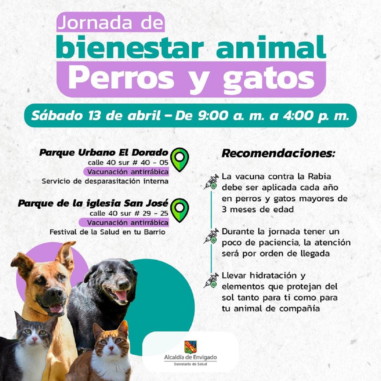 Jornada de bienestar animal y vacunación antirrábica en Envigado